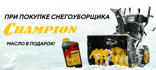 Акция Champion